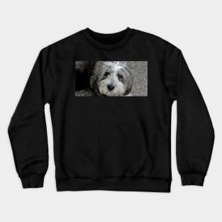 Cassie Bonny Lassie Crewneck Sweatshirt